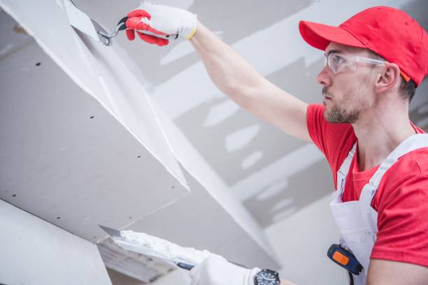  Lewiston, MN Drywall & Painting Services Pros